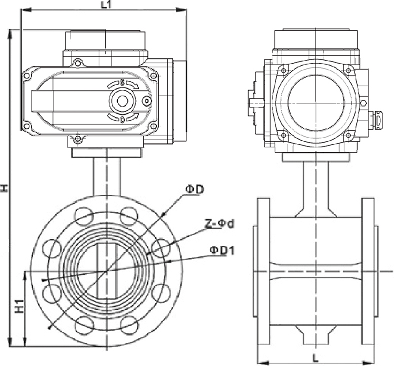D941X-16C電動對夾蝶閥結構圖.jpg